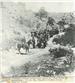 Tombstone Canyon; Bisbee; Arizona; C.S. Fly; Cochise County Sheriff; Parade