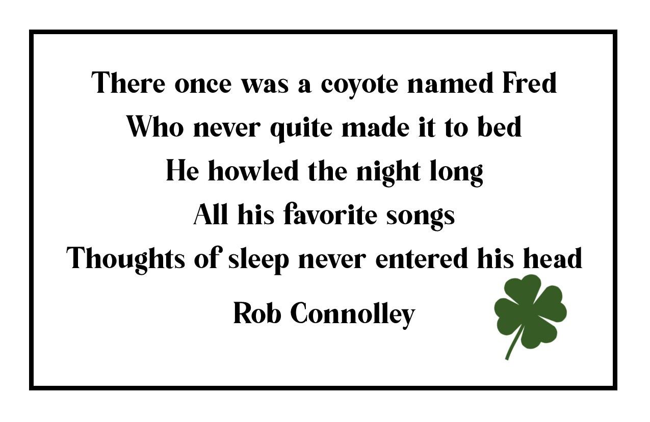 Rob Limerick (1)