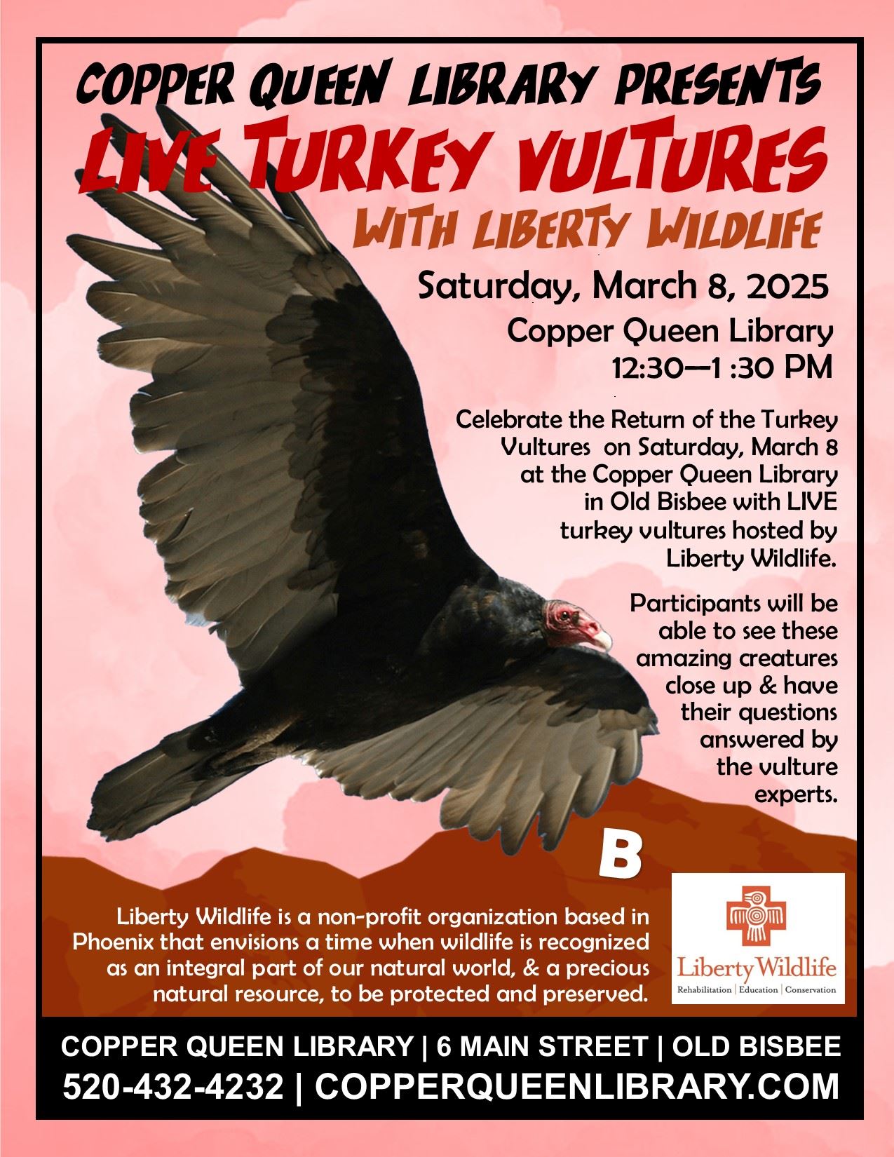 Live Vultures Poster 2025