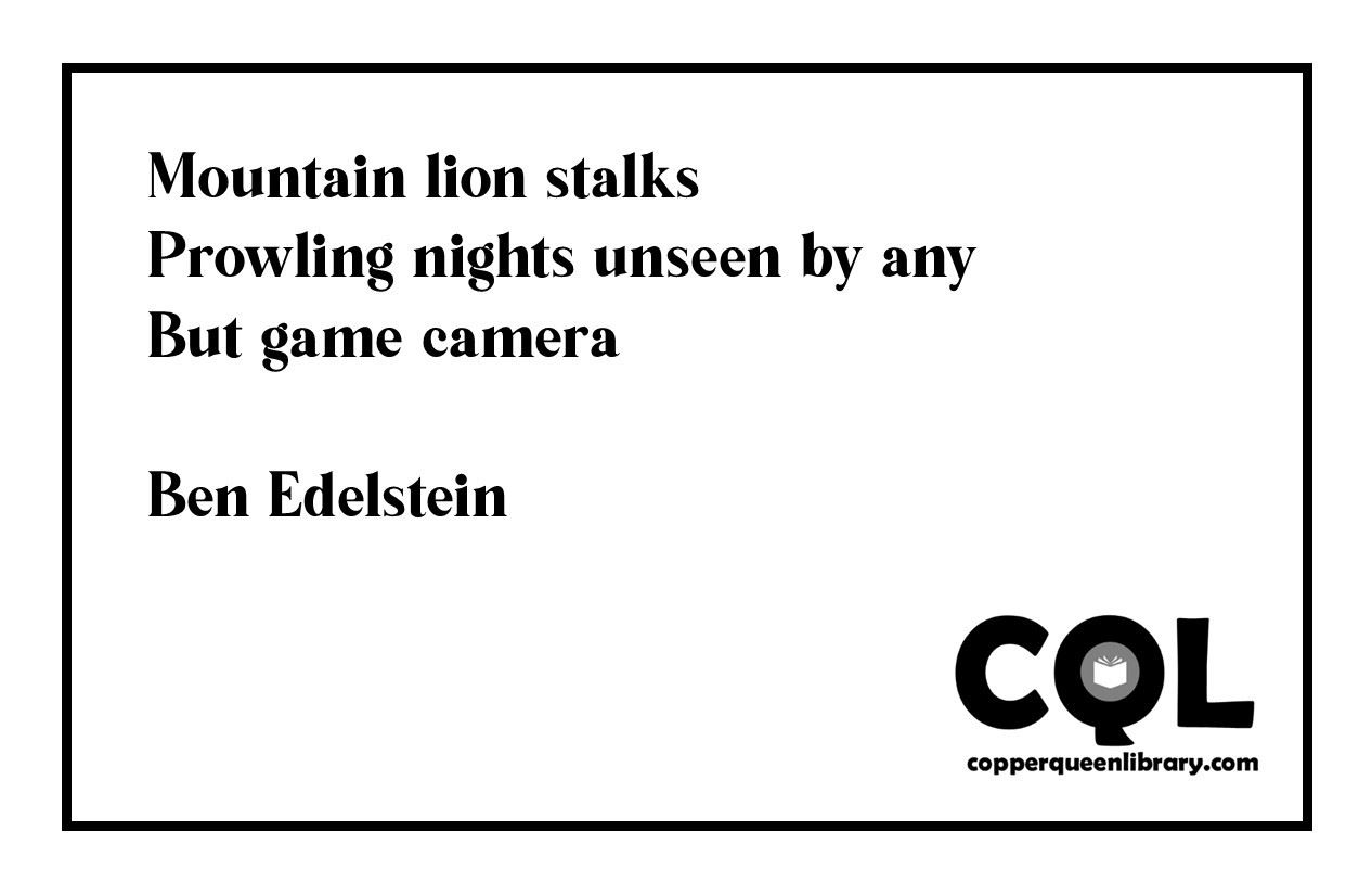 Ben Edelstein Haiku 2025