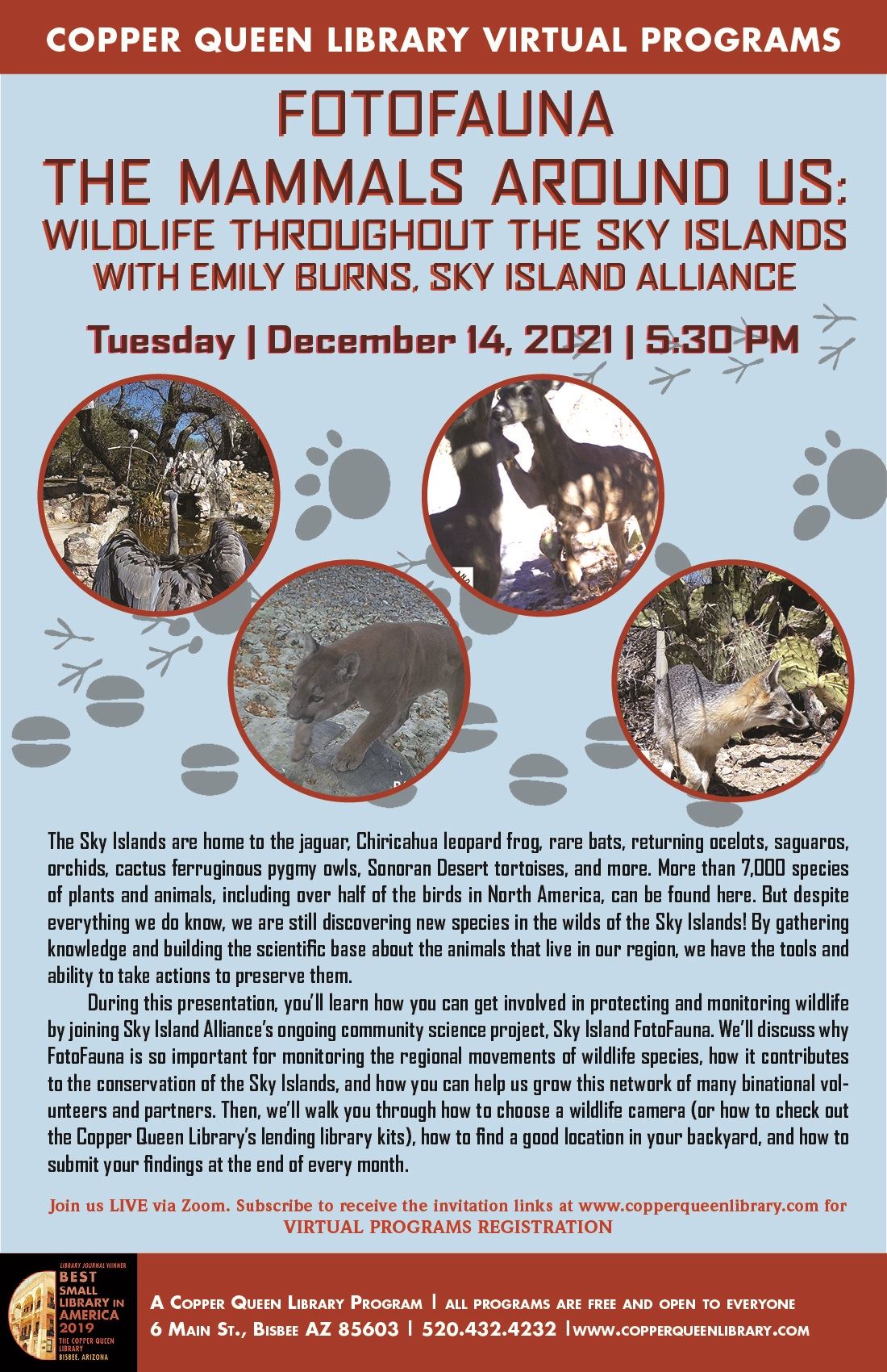 CQL VIRTUAL FOTOFAUNA SKY ISLAND 12.14.2021 POSTER 17 X 11(2)