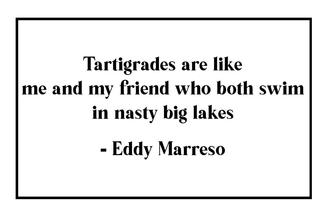 Eddy Marreso Haiku (1)