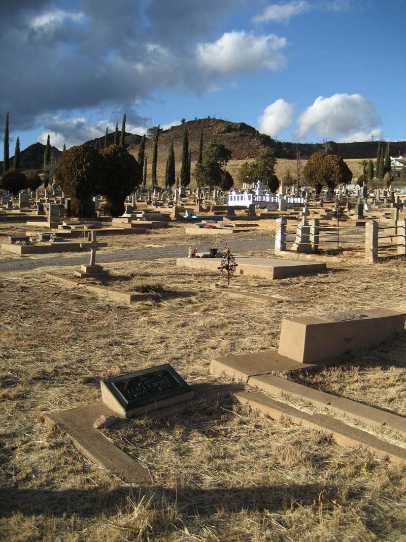 CEM46585015_116866254604 Opens in new window